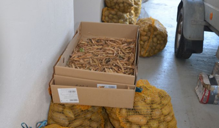 4. fotografia fotogalérie Úroda z obecnej záhrady