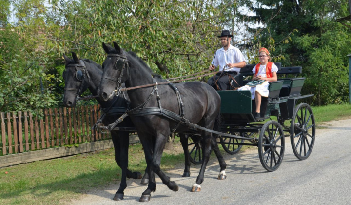 4. fotografia fotogalérie Oberačkové slávnosti