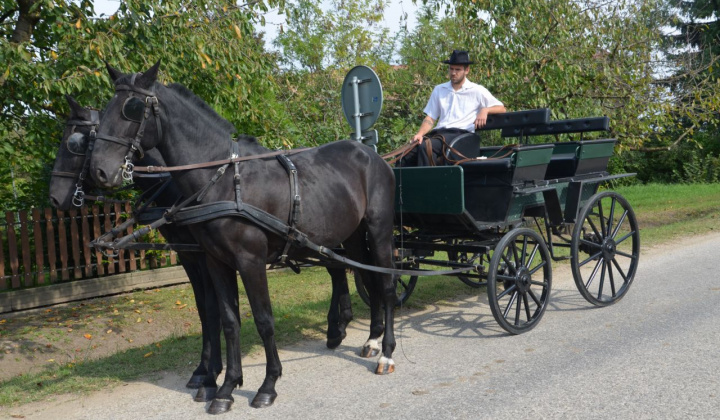5. fotografia fotogalérie Oberačkové slávnosti
