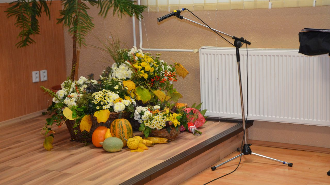 Fotógaléria fotózás Deň seniorov