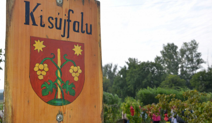 12. fotografia fotogalérie Oberačkové slávnosti - Budaörs