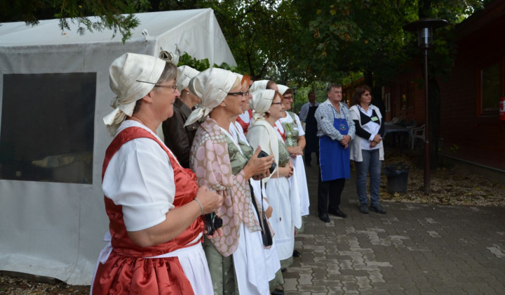 16. fotografia fotogalérie Oberačkové slávnosti - Budaörs