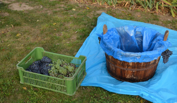 5. fotografia fotogalérie Oberačkové slávnosti