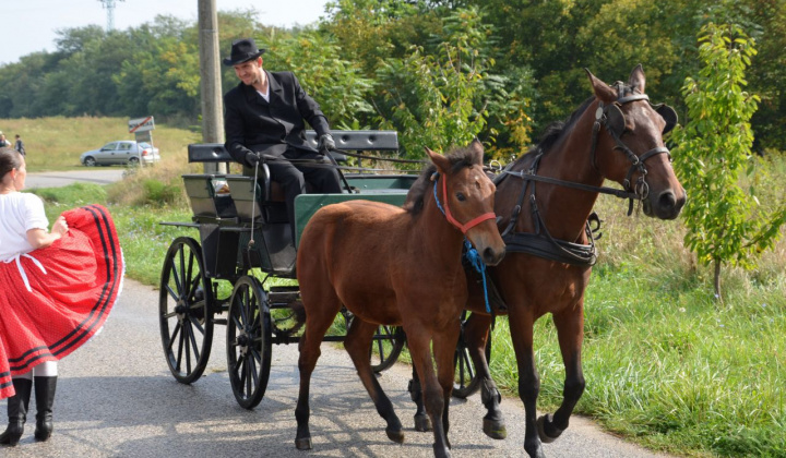 10. fotografia fotogalérie Oberačkové slávnosti