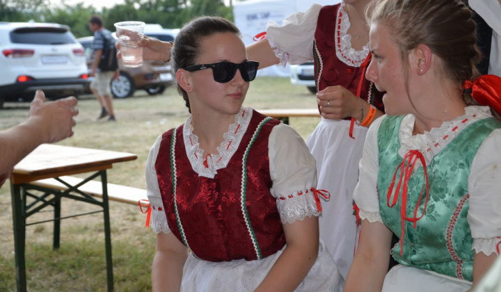 1. fotografia fotogalérie Vystúpenie našich tanečných súborov na Vínnom festivale v Strekove