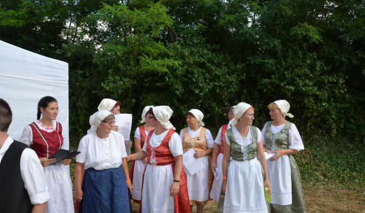 3. fotografia fotogalérie Vystúpenie našich tanečných súborov na Vínnom festivale v Strekove