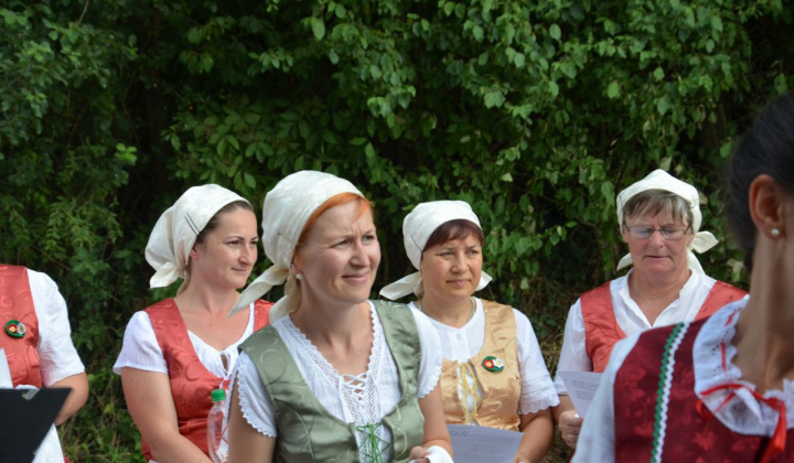 5. fotografia fotogalérie Vystúpenie našich tanečných súborov na Vínnom festivale v Strekove