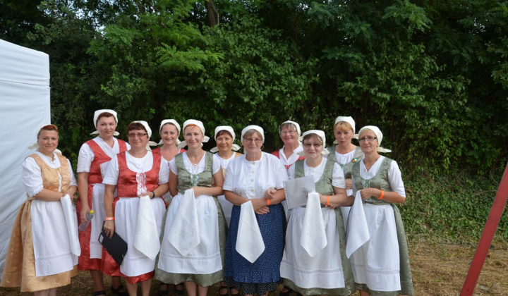 6. fotografia fotogalérie Vystúpenie našich tanečných súborov na Vínnom festivale v Strekove