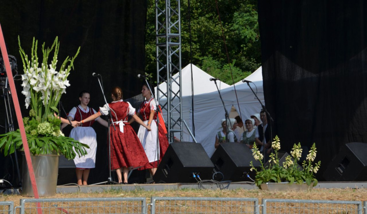 9. fotografia fotogalérie Vystúpenie našich tanečných súborov na Vínnom festivale v Strekove