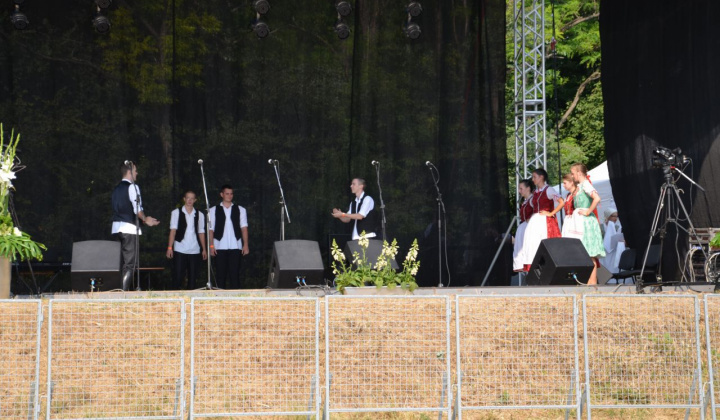 11. fotografia fotogalérie Vystúpenie našich tanečných súborov na Vínnom festivale v Strekove