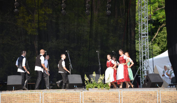 12. fotografia fotogalérie Vystúpenie našich tanečných súborov na Vínnom festivale v Strekove