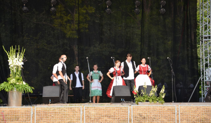 13. fotografia fotogalérie Vystúpenie našich tanečných súborov na Vínnom festivale v Strekove
