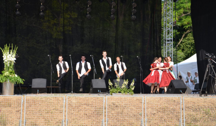 15. fotografia fotogalérie Vystúpenie našich tanečných súborov na Vínnom festivale v Strekove