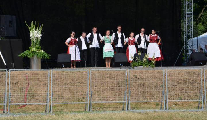 18. fotografia fotogalérie Vystúpenie našich tanečných súborov na Vínnom festivale v Strekove