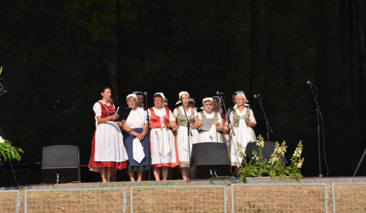 19. fotografia fotogalérie Vystúpenie našich tanečných súborov na Vínnom festivale v Strekove