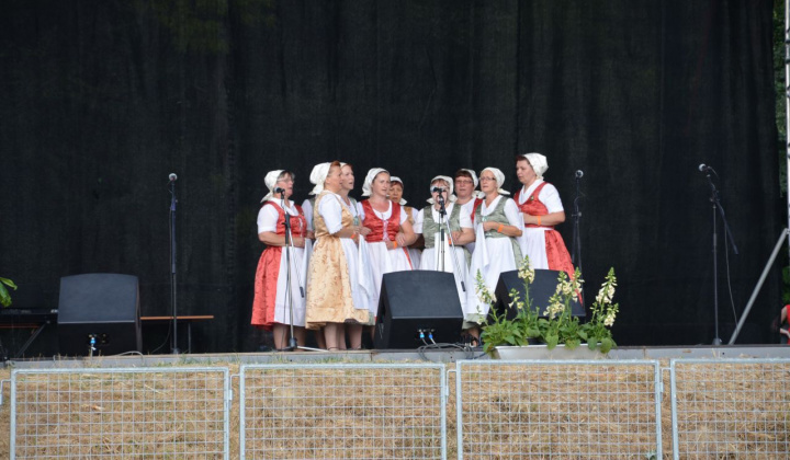 20. fotografia fotogalérie Vystúpenie našich tanečných súborov na Vínnom festivale v Strekove