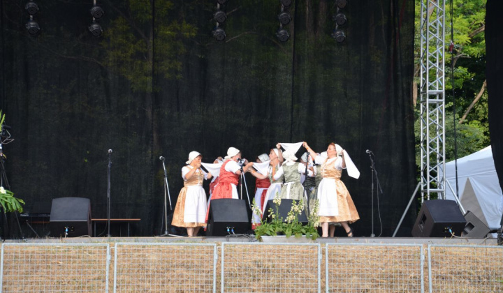 21. fotografia fotogalérie Vystúpenie našich tanečných súborov na Vínnom festivale v Strekove