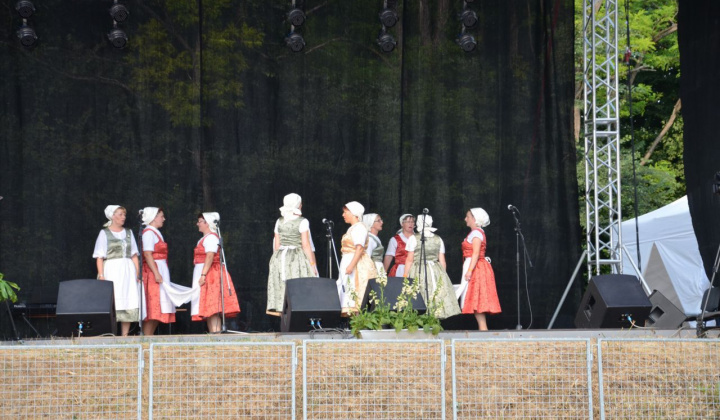 23. fotografia fotogalérie Vystúpenie našich tanečných súborov na Vínnom festivale v Strekove