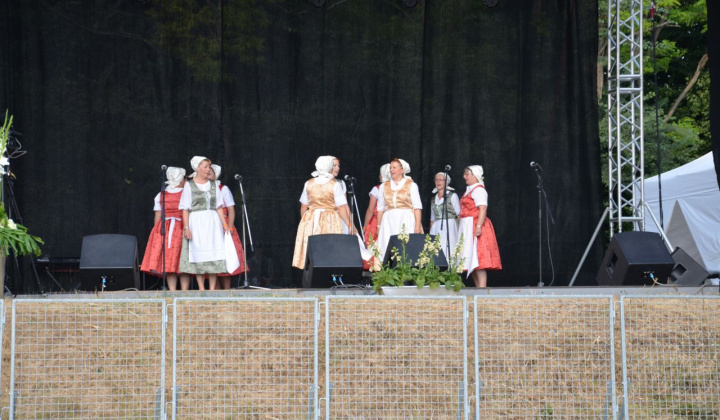 24. fotografia fotogalérie Vystúpenie našich tanečných súborov na Vínnom festivale v Strekove