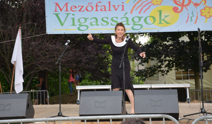 11. fotografia fotogalérie Dni obce Mezőfalva