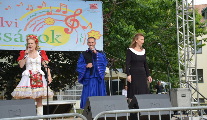 16. fotografia fotogalérie Dni obce Mezőfalva