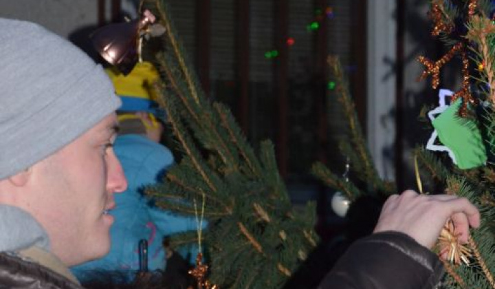 5. fotografia fotogalérie Zdobenie spoločného vianočného stromčeka