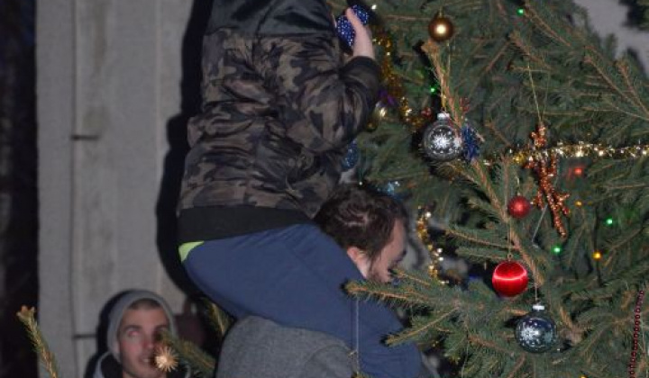 7. fotografia fotogalérie Zdobenie spoločného vianočného stromčeka