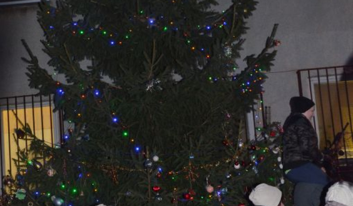 8. fotografia fotogalérie Zdobenie spoločného vianočného stromčeka