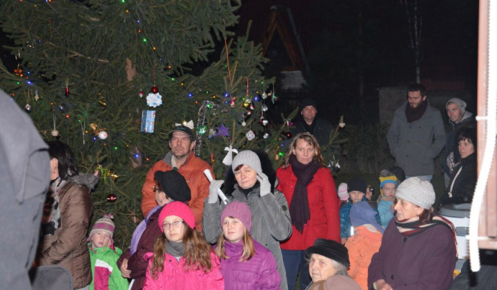 13. fotografia fotogalérie Zdobenie spoločného vianočného stromčeka