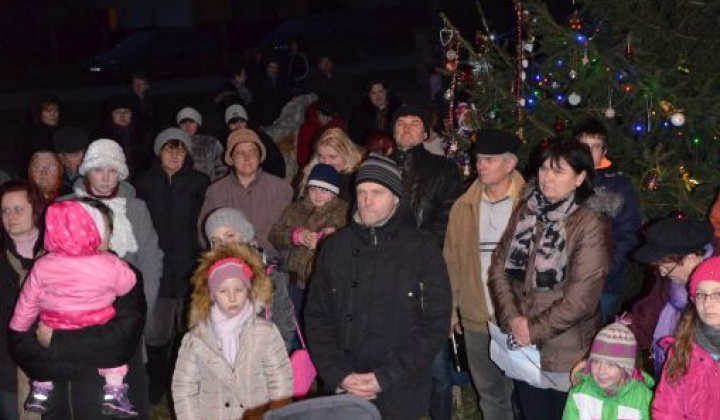 14. fotografia fotogalérie Zdobenie spoločného vianočného stromčeka