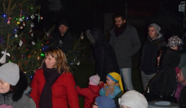 16. fotografia fotogalérie Zdobenie spoločného vianočného stromčeka