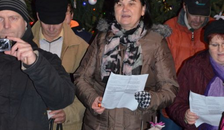 19. fotografia fotogalérie Zdobenie spoločného vianočného stromčeka