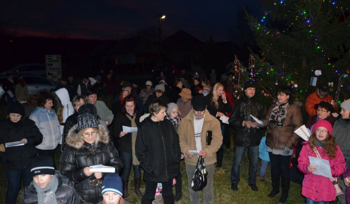 22. fotografia fotogalérie Zdobenie spoločného vianočného stromčeka