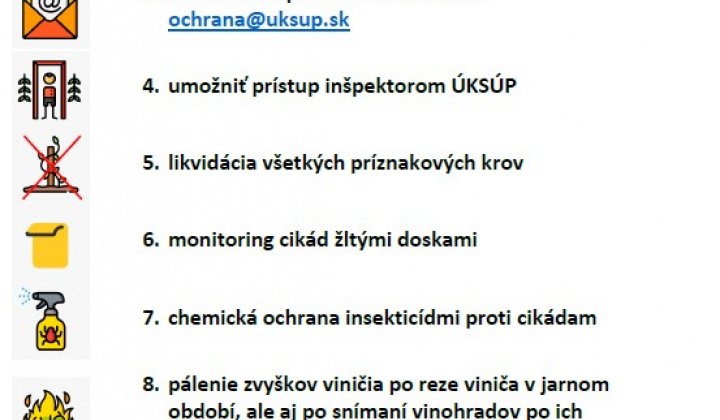 5. fotografia fotogalérie Aktuality / POZOR! Výskyt zlatého žltnutia viniča!!! - foto