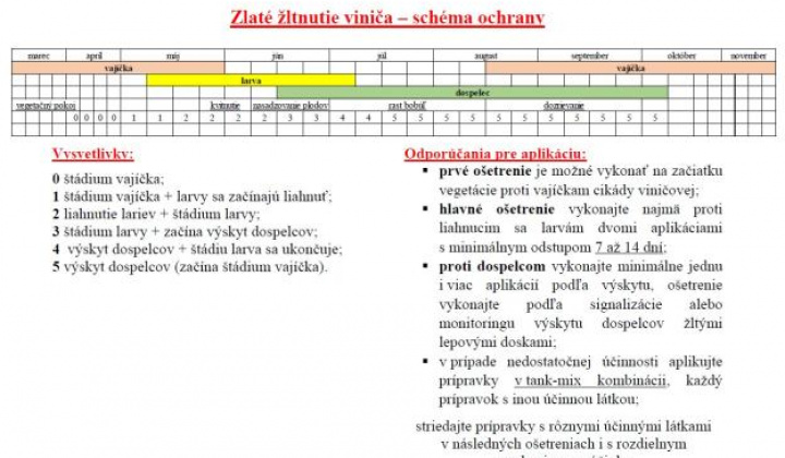 7. fotografia fotogalérie Aktuality / POZOR! Výskyt zlatého žltnutia viniča!!! - foto