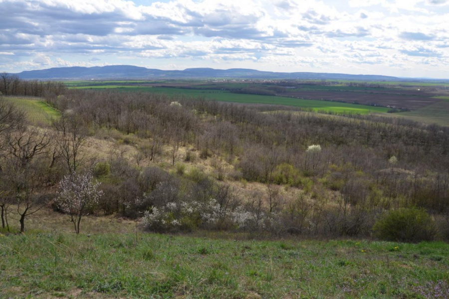 1. fotografia fotogalérie Galéria - úvod