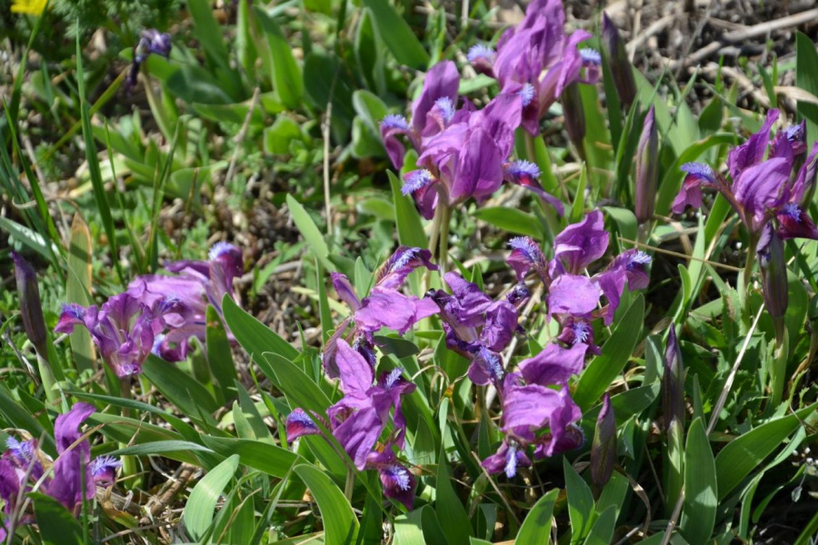 2. fotografia fotogalérie Galéria - úvod