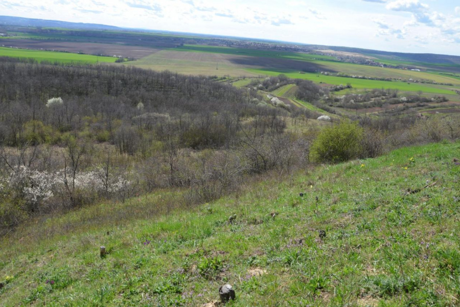 3. fotografia fotogalérie Galéria - úvod