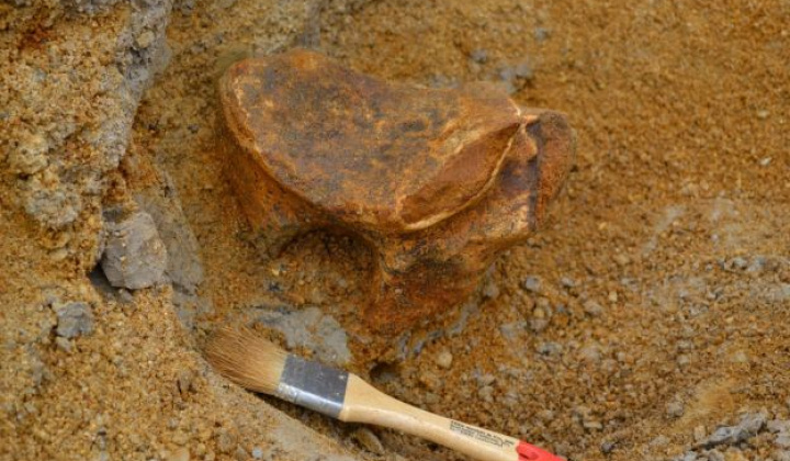 4. fotografia fotogalérie Zaujímavosti / Archeologické nálezy - foto