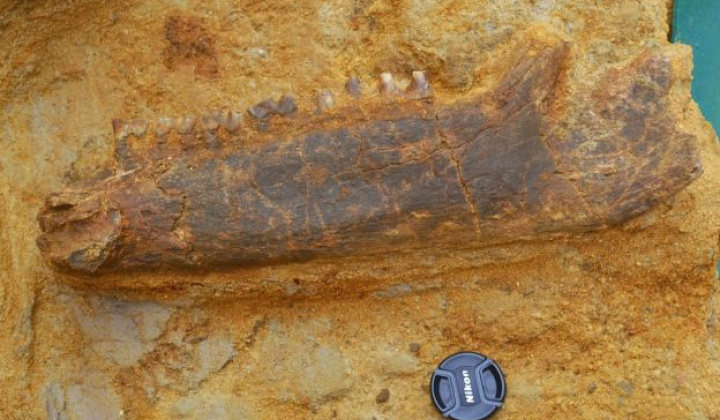 6. fotografia fotogalérie Zaujímavosti / Archeologické nálezy - foto