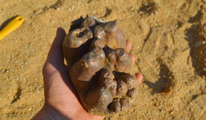 7. fotografia fotogalérie Zaujímavosti / Archeologické nálezy - foto