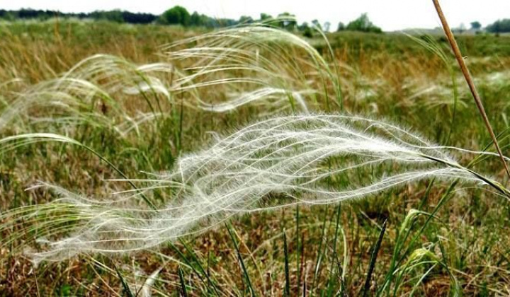 1. fotógaléria fotózás Zaujímavosti / Drieňová hora - foto
