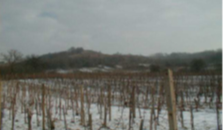 6. fotógaléria fotózás Zaujímavosti / Drieňová hora - foto