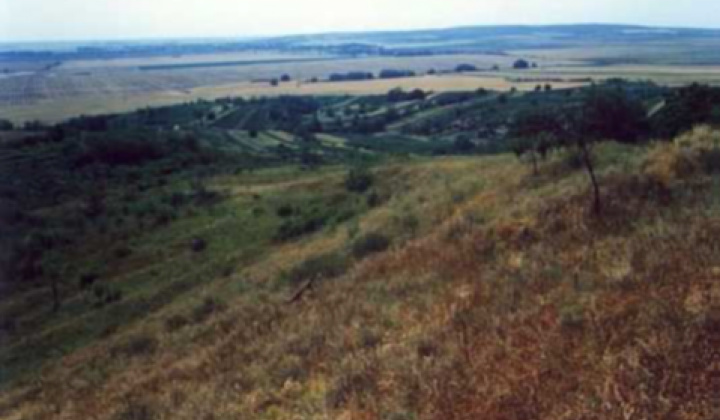 7. fotógaléria fotózás Zaujímavosti / Drieňová hora - foto