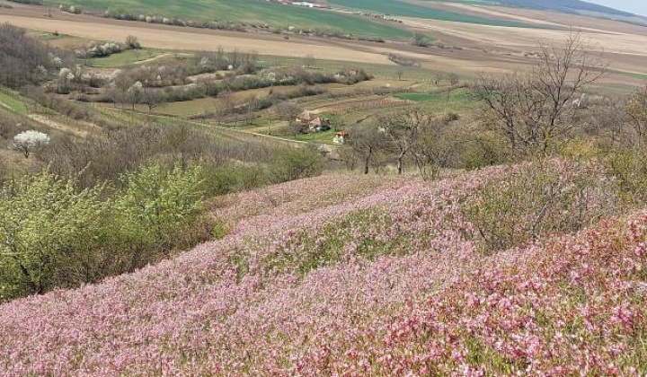 14. fotógaléria fotózás Zaujímavosti / Drieňová hora - foto
