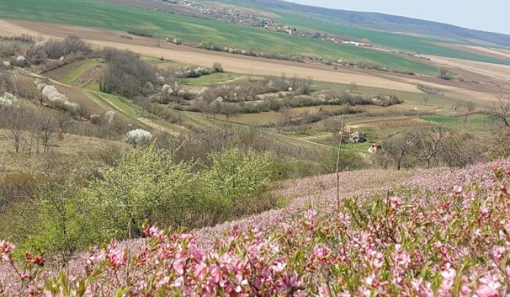 15. fotógaléria fotózás Zaujímavosti / Drieňová hora - foto