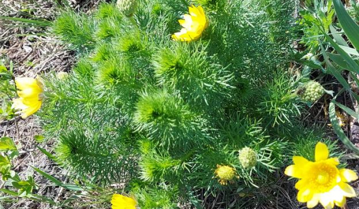 16. fotógaléria fotózás Zaujímavosti / Drieňová hora - foto