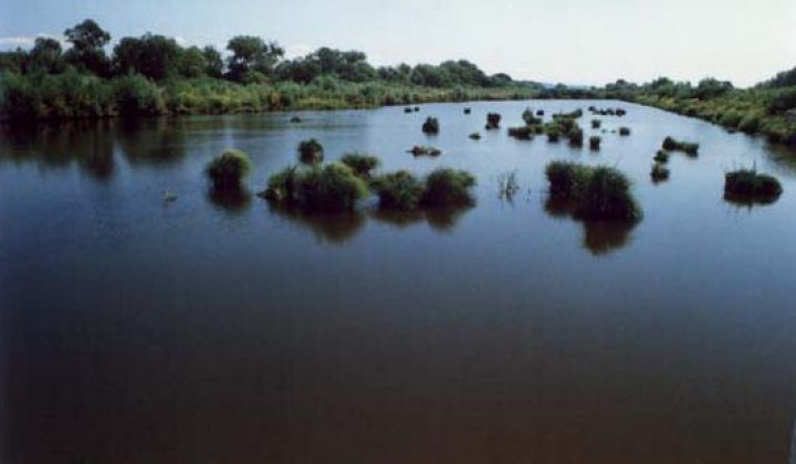 1. fotografia fotogalérie Zaujímavosti / Parížske močiare - foto