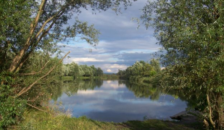 3. fotografia fotogalérie Zaujímavosti / Parížske močiare - foto