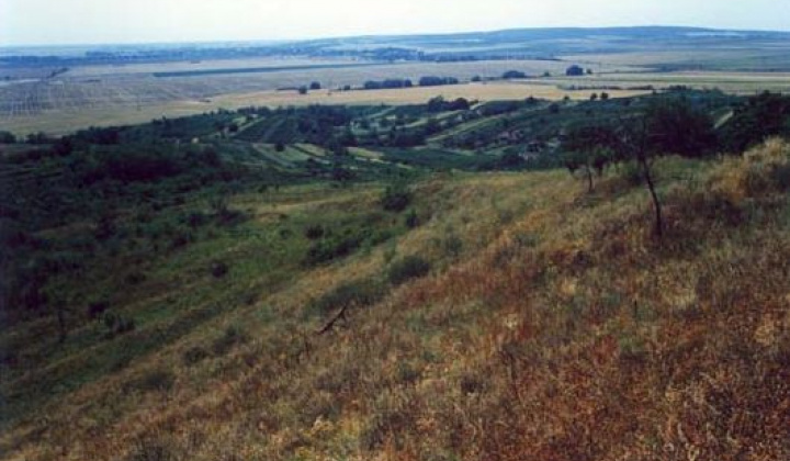 4. fotografia fotogalérie Zaujímavosti / Parížske močiare - foto